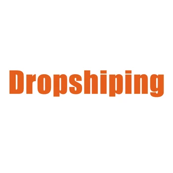 Dropshipping SVIP Por Şarj Cihazı