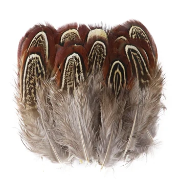 3-8cm Doğal Gine tavuğu Tüyleri El Sanatları Takı Yapımı Dekorasyon Sülün Tavuk Tüyleri İşi Aksesuarları 100 / paket
