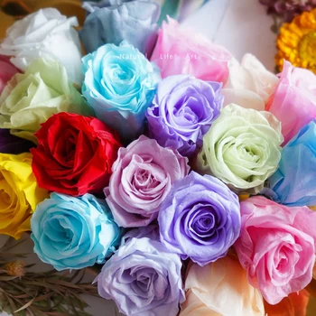 12 Adet Ebedi Çiçek Korunmuş Gül Kutusu Kurutulmuş Ölümsüz Gül Çiçek Düğün Ev Partisi Dekorasyon DIY Anneler Günü Hediyesi Duvar dekor